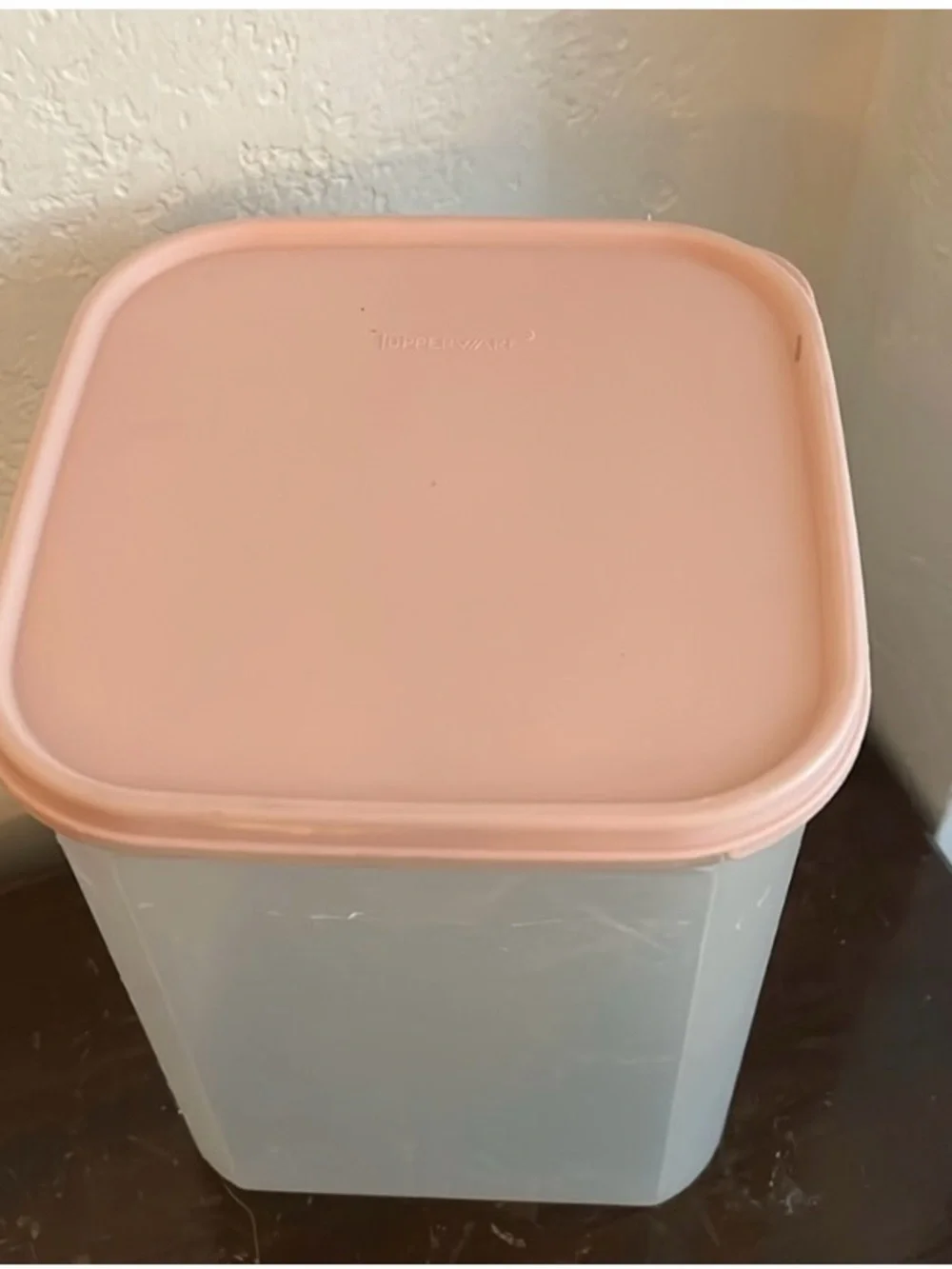 Tupperware Canister Lid